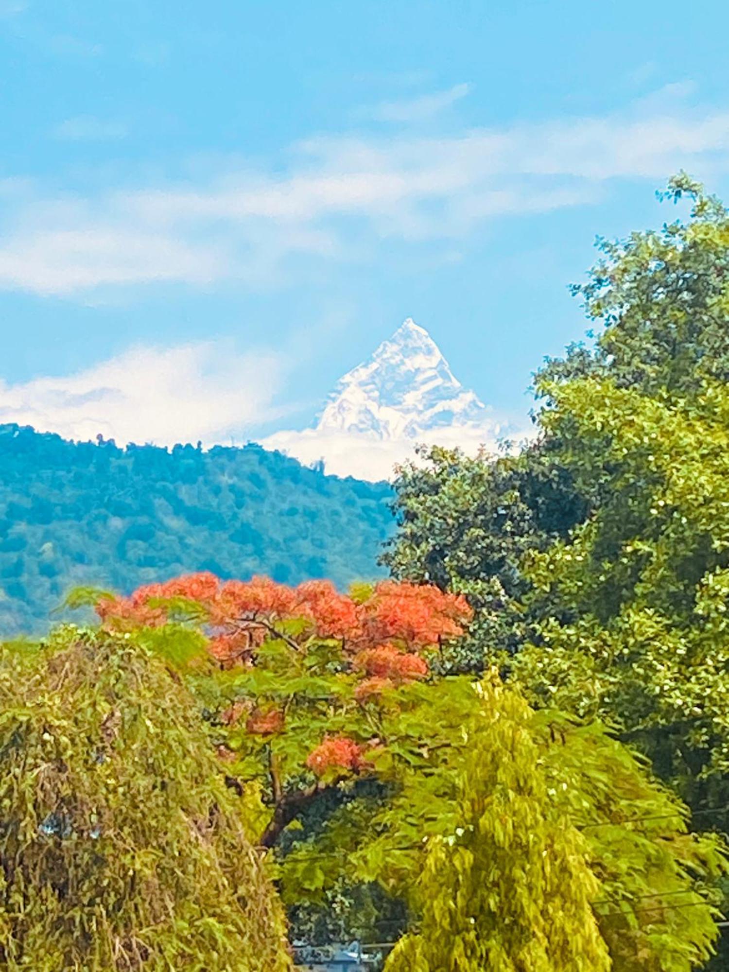 Three Jewels Boutique Hotel Pokhara Exterior photo